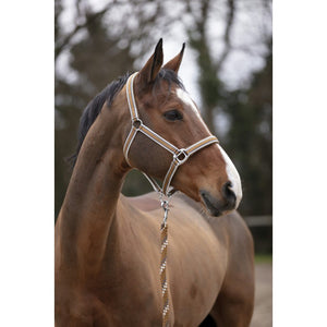 Matching Headcollar and Lead Rope Set