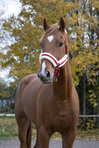 Norton Comfort Headcollar