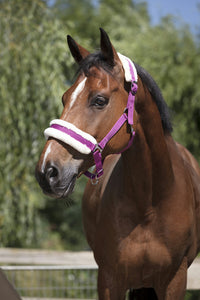 Synthetic Head Collar