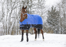 Load image into Gallery viewer, Shetland Turnout Rugs
