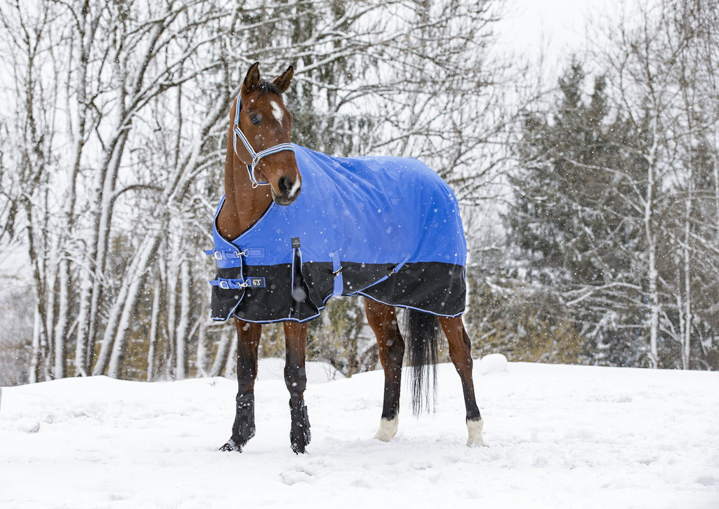 Shetland Turnout Rugs