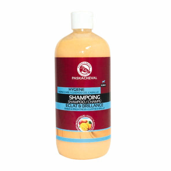 Mango Shampoo