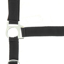 Load image into Gallery viewer, Norton Nylon Head Collar, Neoprene Lined
