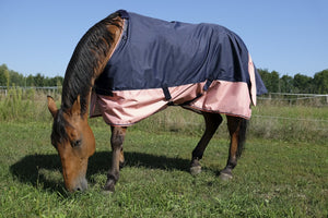 Shetland Turnout Rugs