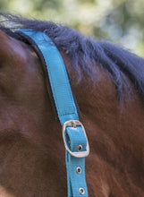 Load image into Gallery viewer, Norton Neon Head Collar
