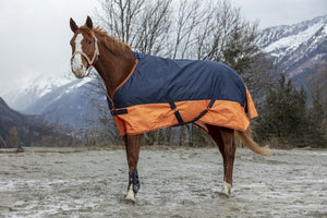 Shetland Turnout Rugs