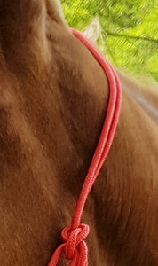 Riding World 'Fine' Rope Halter