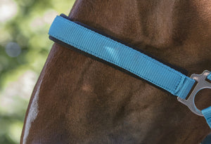 Norton Neon Head Collar