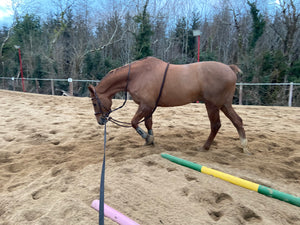 Lunging Stretch Aid