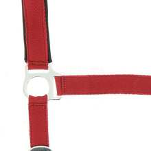 Load image into Gallery viewer, Norton Nylon Head Collar, Neoprene Lined
