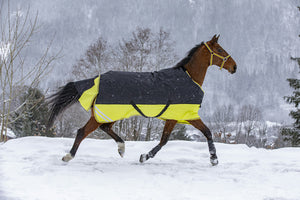 Shetland Turnout Rugs