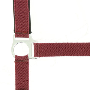 Norton Nylon Head Collar, Neoprene Lined