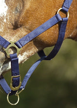 Load image into Gallery viewer, Nylon Head Collar
