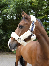 Load image into Gallery viewer, &#39;TEDDY&#39; Head Collar
