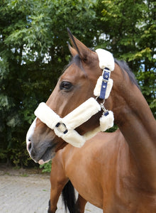 'TEDDY' Head Collar