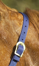 Load image into Gallery viewer, Nylon Head Collar
