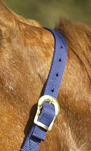 Nylon Head Collar