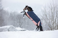 Load image into Gallery viewer, Shetland Turnout Rugs
