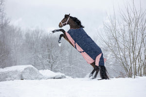 Shetland Turnout Rugs