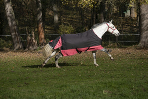 Shetland Turnout Rugs