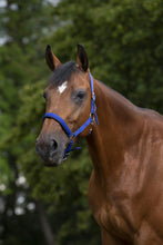 Load image into Gallery viewer, Norton Nylon Head Collar, Neoprene Lined
