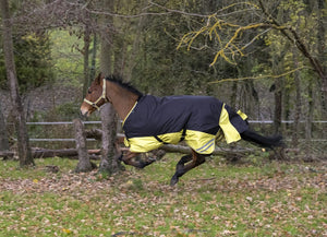 Shetland Turnout Rugs