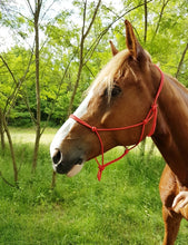 Load image into Gallery viewer, Riding World &#39;Fine&#39; Rope Halter
