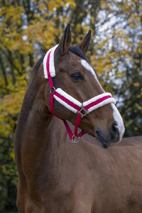 Norton Comfort Headcollar