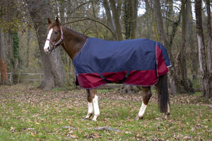 Shetland Turnout Rugs