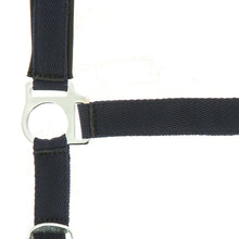 Load image into Gallery viewer, Norton Nylon Head Collar, Neoprene Lined
