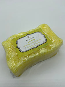 Soap Sponge