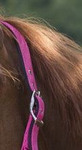 Load image into Gallery viewer, &#39;Snaffle Strass&#39; Nylon Head Collar
