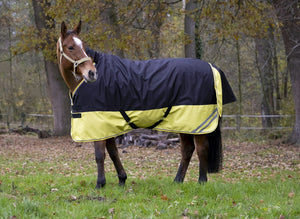 Shetland Turnout Rugs