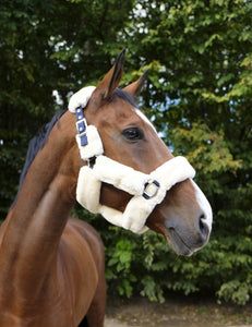 'TEDDY' Head Collar