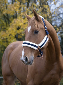 Norton Comfort Headcollar