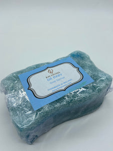 Soap Sponge