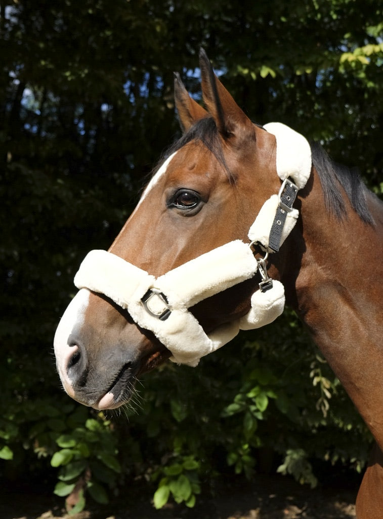 fluffy head collar 