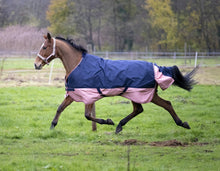 Load image into Gallery viewer, Shetland Turnout Rugs
