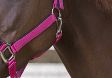 Load image into Gallery viewer, &#39;Snaffle Strass&#39; Nylon Head Collar
