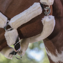 Load image into Gallery viewer, Norton Synthetic Head Collar
