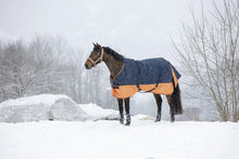 Load image into Gallery viewer, Shetland Turnout Rugs
