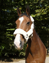 Load image into Gallery viewer, &#39;TEDDY&#39; Head Collar
