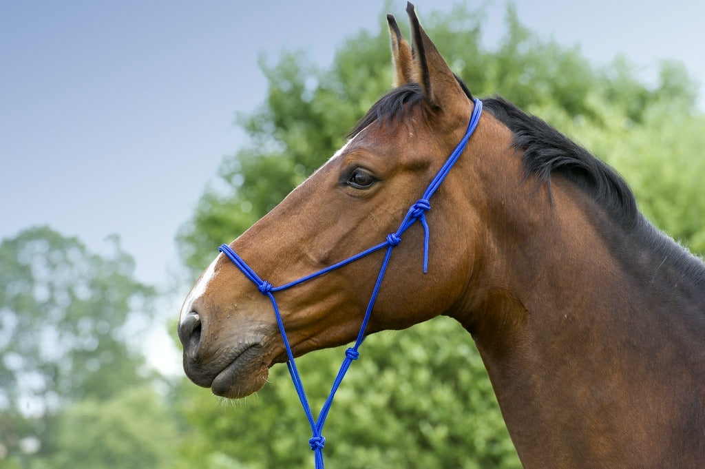 Soft Ethological Rope Halter