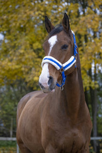 Norton Comfort Headcollar