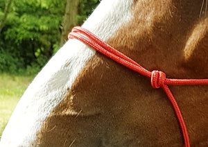 Riding World 'Fine' Rope Halter