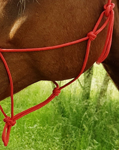 Riding World 'Fine' Rope Halter