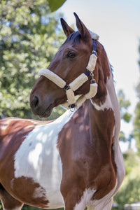 Norton Synthetic Head Collar