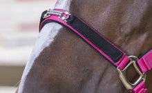 Load image into Gallery viewer, &#39;Snaffle Strass&#39; Nylon Head Collar
